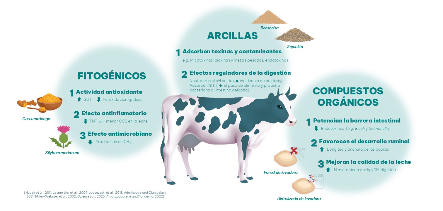 Vacas lecheras